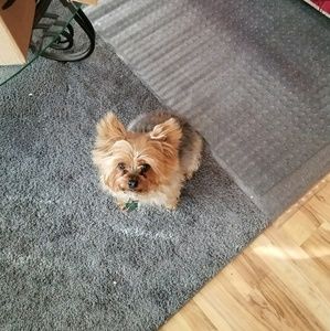 Meet your Posher, Margo